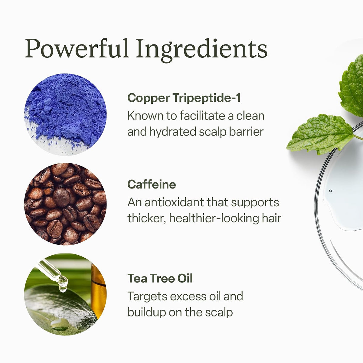 Divi Scalp Serum | To Promote Fuller-Looking Hair with Peptides | 30ml